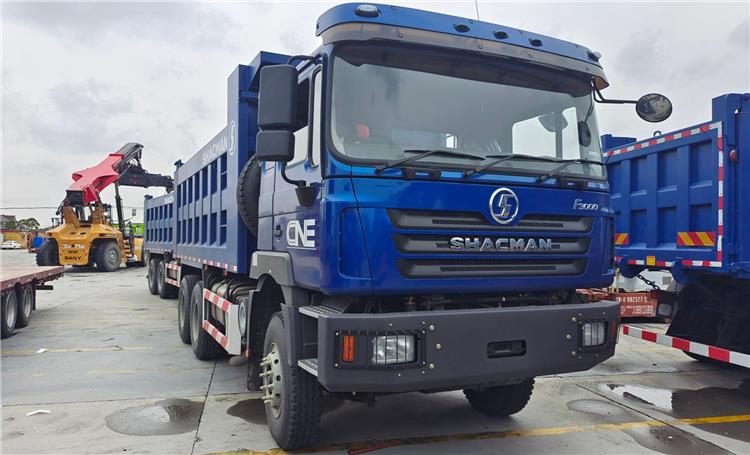 Shacman F3000 10 Wheeler Dump Truck for Sale - Shacman