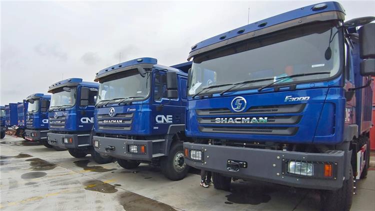 Shacman F3000 10 Wheeler Dump Truck for Sale - Shacman