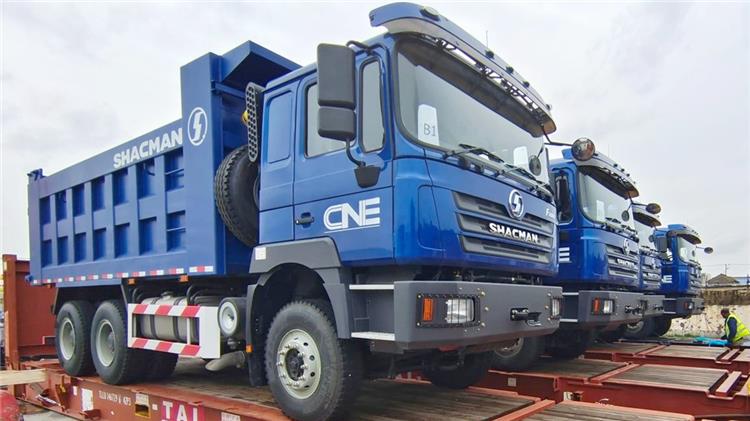 Shacman F3000 10 Wheeler Dump Truck for Sale - Shacman