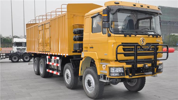 F3000 Shacman 12 Wheeler Cargo Truck Price in Nigeria