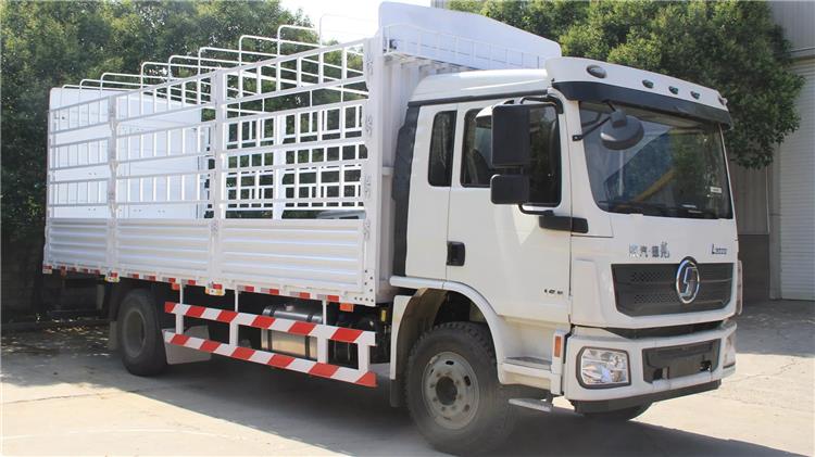Shacman L3000 Cargo Truck for Sale | Shacman Price