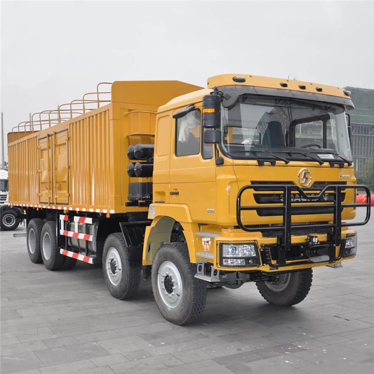 Shacman F3000 8x4 Cargo Truck