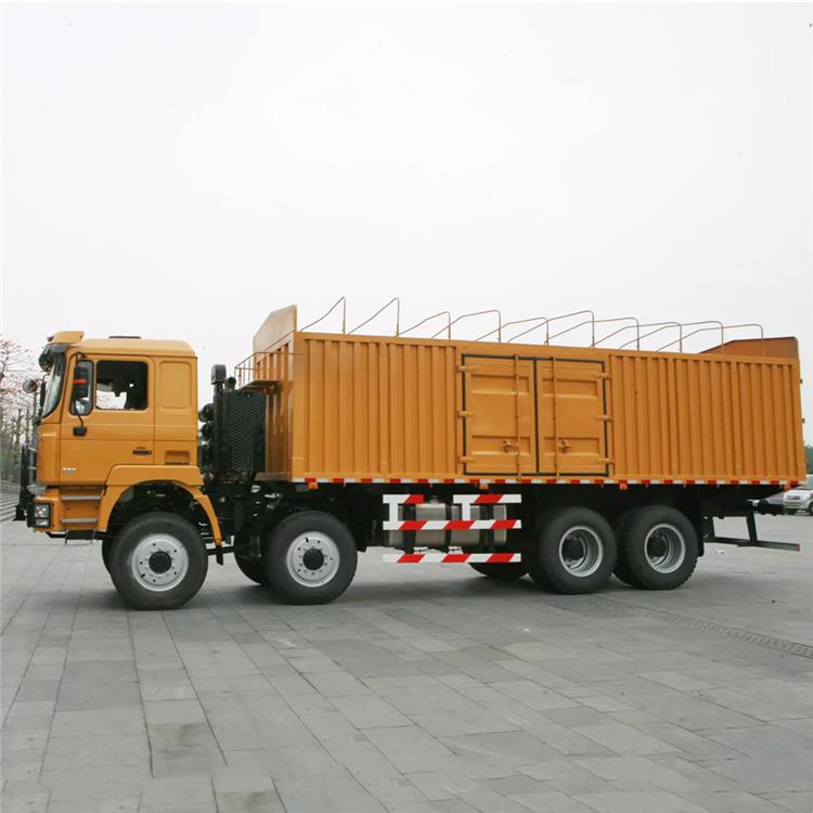 F3000 Shacman 12 Wheeler Cargo Truck 
