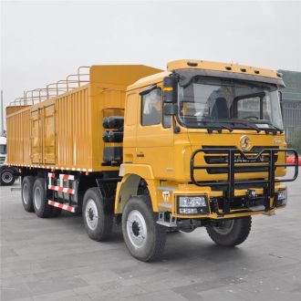 Shacman F3000 8x4 Cargo Truck