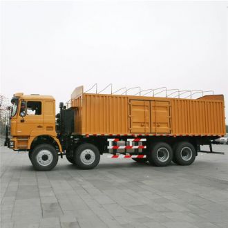 F3000 Shacman 12 Wheeler Cargo Truck 