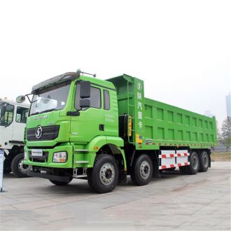 H3000 Shacman 12 Wheeler Dump Truck