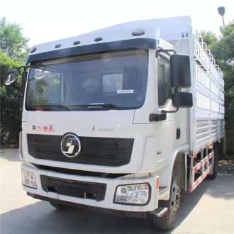 Shacman L3000 Cargo Truck
